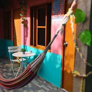 New Casa Dora Colombia